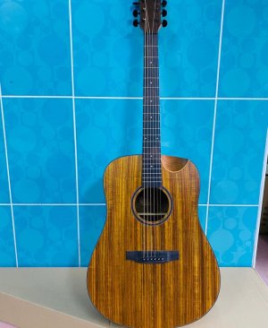 Champes CH-2CEQ Elektro Akustik Gitar