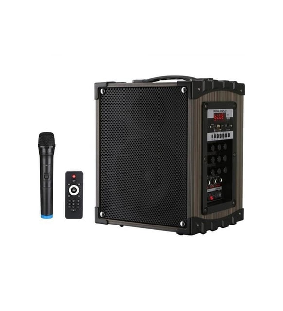 DS 908 ŞARJLI TAŞINABİLİR AMFİ